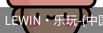 乐玩(唯一)官网